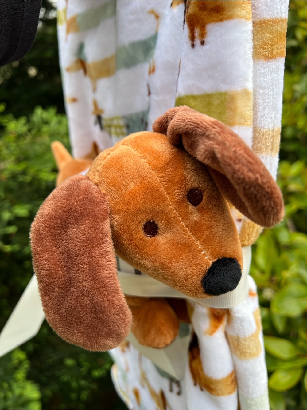 Dachshund Baby Blanket & Plushie Set - Picture 4 of 4